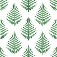 Fresh spring fern and moss seamless tile pattern with textured details and natural beauty vector