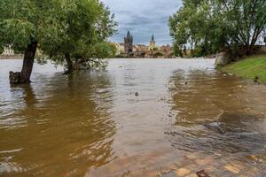 Flood in Prague. View of Charles Bridge over the flooding river Vltava, Prague. High quality photo