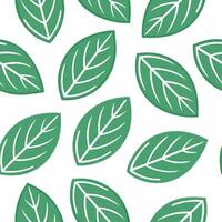 Refreshing summer leaves seamless pattern with mint and sage leaves for to cool crisp interior vibe Set 2 vector