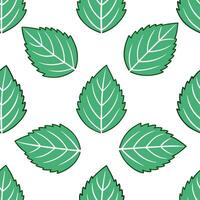 Refreshing summer leaves seamless tile pattern with mint and ivy for to clean fresh feel vector