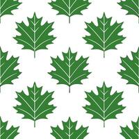 Classic summer leaves seamless pattern with oak and maple leaves for traditional summer aesthetics vector