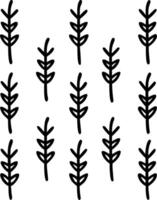 Botanical garden lavender seamless tile pattern with various lavender species in natural purples on white background perfect for serene spaces vector