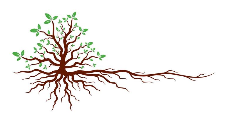 Green Tree with roots.
