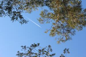 A plane flying through the sky with a contrail photo
