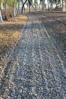 A dirt road with trees and a fence in the background photo