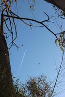 A plane flying through the sky with a jet trail photo