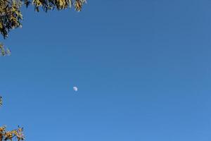 A clear blue sky with a moon in the distance photo