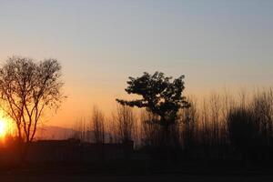 The sky is hazy photo