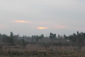 A field with a few trees and a plane flying over it photo