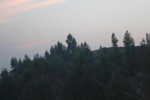 A plane flying over a hill with trees in the background photo