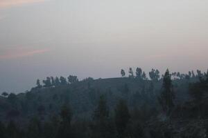 A large hill with trees on it photo
