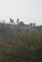 A view of a hillside with trees and a road photo