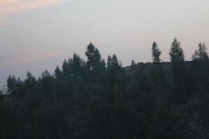 A plane flying over a hill with trees in the background photo