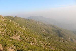 A view of a mountain range with a large tree photo