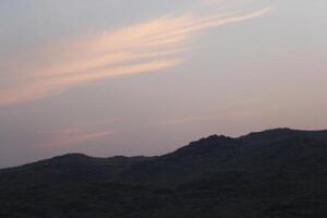 A person flying a kite in the air photo