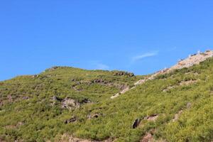 A mountain with a few trees and a sky photo