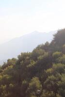 mountains view from above, green mountains. photo