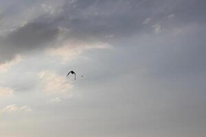 A person flying a kite in the sky photo