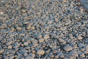 A large pile of rocks on the beach photo