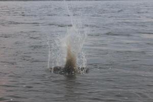 A man is throwing a water bottle into the water photo