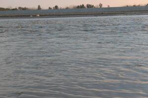 A man is standing in the water with a surfboard photo