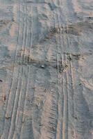 A close up of a wall with some lines on it photo