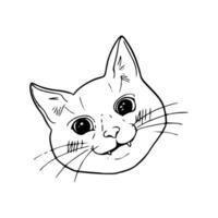 A cat's face is drawn in black and white vector