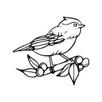 A bird sitting on a branch coloring page vector