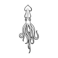 A drawing of a squid with tentacles vector