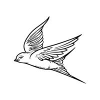 A drawing of a bird flying in the air vector