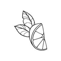 A black and white drawing of a lemon with leaves vector