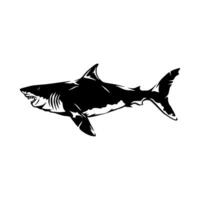 Great white shark decal vinyl decal vinyl decal vinyl decal vinyl decal vinyl dec vector