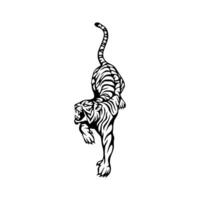 A black and white drawing of a tiger vector