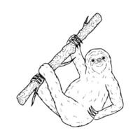 Sloth coloring page vector