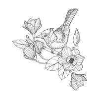 A coloring page with a bird sitting on a branch vector