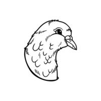 A drawing of a bird with a beak vector