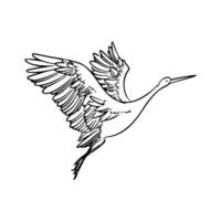 A drawing of a crane flying in the air vector