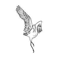 A drawing of a bird flying in the air vector