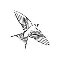 A black and white drawing of a bird flying vector