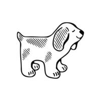 A dog is drawn in a line drawing style vector