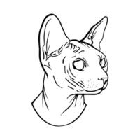 A drawing of a cat's head with a black outline vector