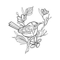A bird sitting on a branch with flowers coloring page vector