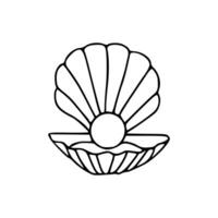A black and white drawing of a shell vector