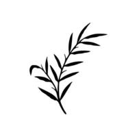 A black and white drawing of a leaf vector
