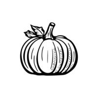 A black and white drawing of a pumpkin vector