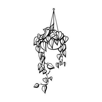 A drawing of a hanging plant with leaves vector