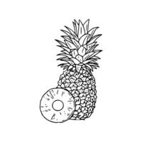 A pineapple and a slice of pineapple are shown in this drawing vector