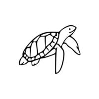 A turtle is drawn in black and white on a white background vector