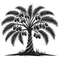 Lush Date Palm Tree Silhouette with Abundant Dates vector