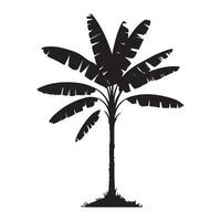Single Banana Tree Silhouette Botanical Illustration vector